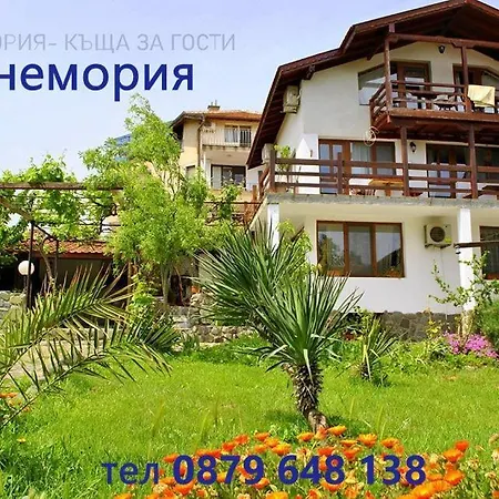 Sinemoria Sinemoretz