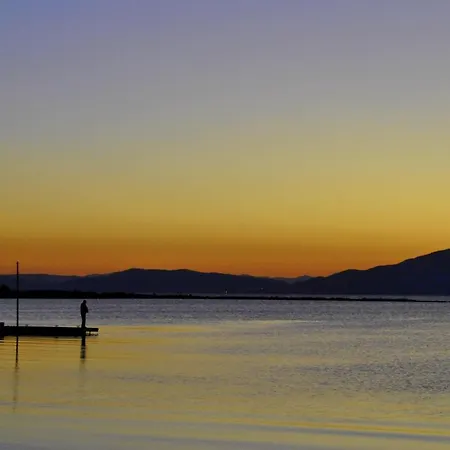 Sinemoria Sinemoretz