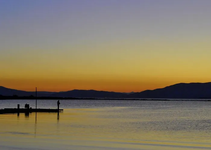 Sinemoria Sinemoretz